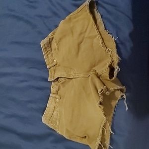 Size 28 BP Green Shorts